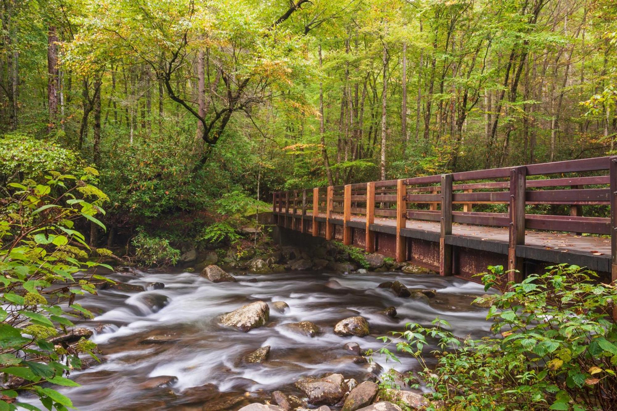 Forever Yours, Hot Tub, 1089 Of Free Attraction Tickets For Each Paid Day, Dollywood And More Pigeon Forge Exterior foto
